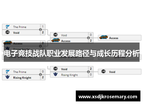 电子竞技战队职业发展路径与成长历程分析